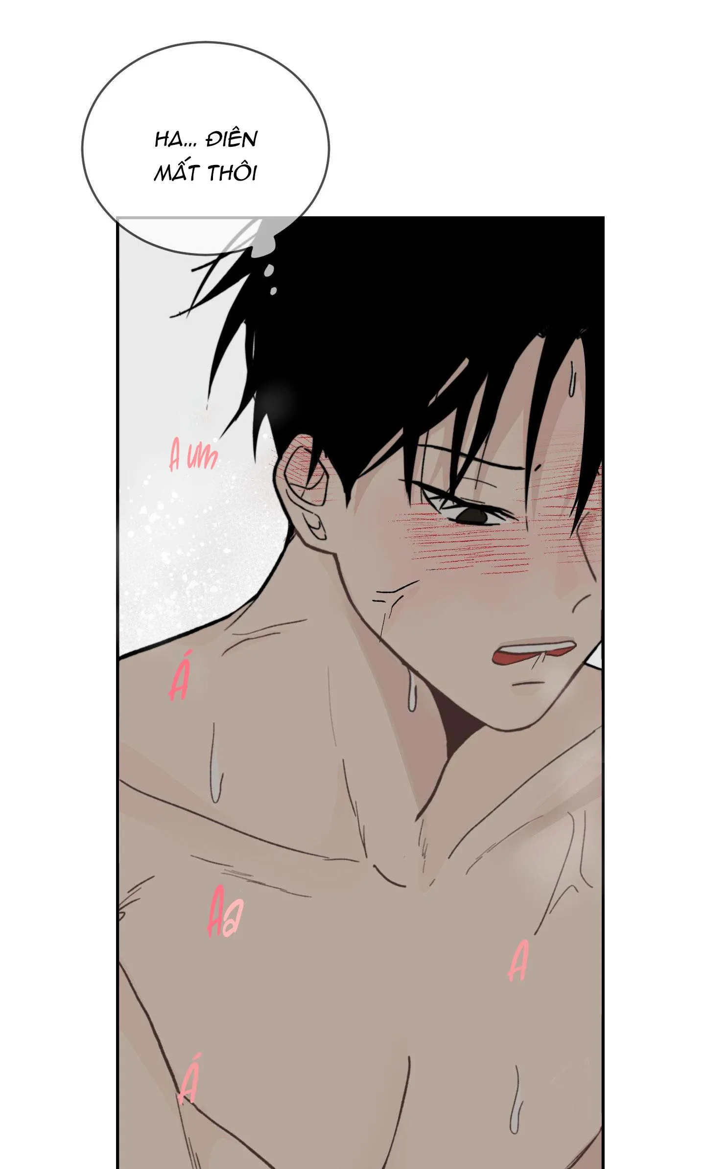 Đêm Mùa Hè Có Hoa Lupin Chapter 9 Trang 74