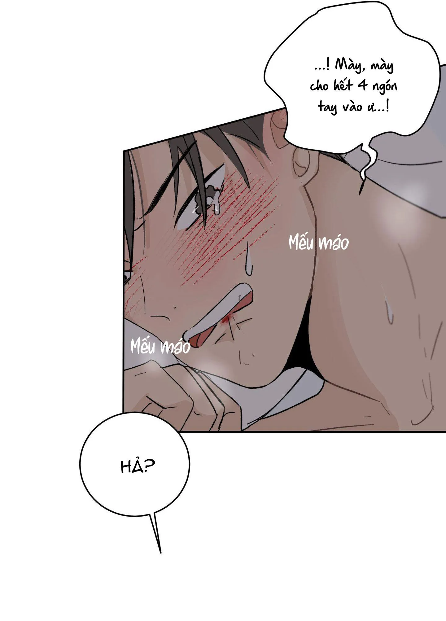 Đêm Mùa Hè Có Hoa Lupin Chapter 10 Trang 17