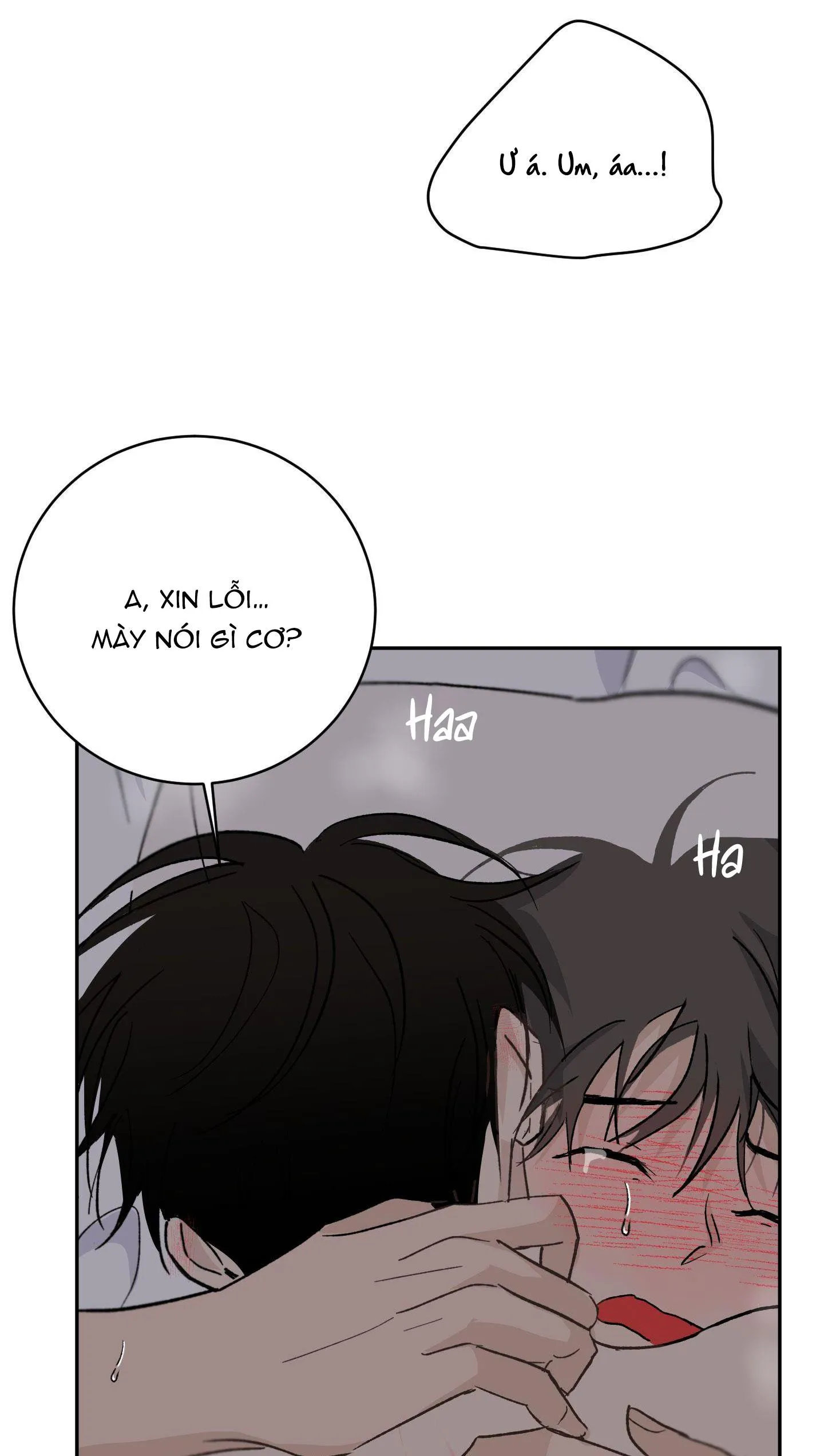 Đêm Mùa Hè Có Hoa Lupin Chapter 10 Trang 63