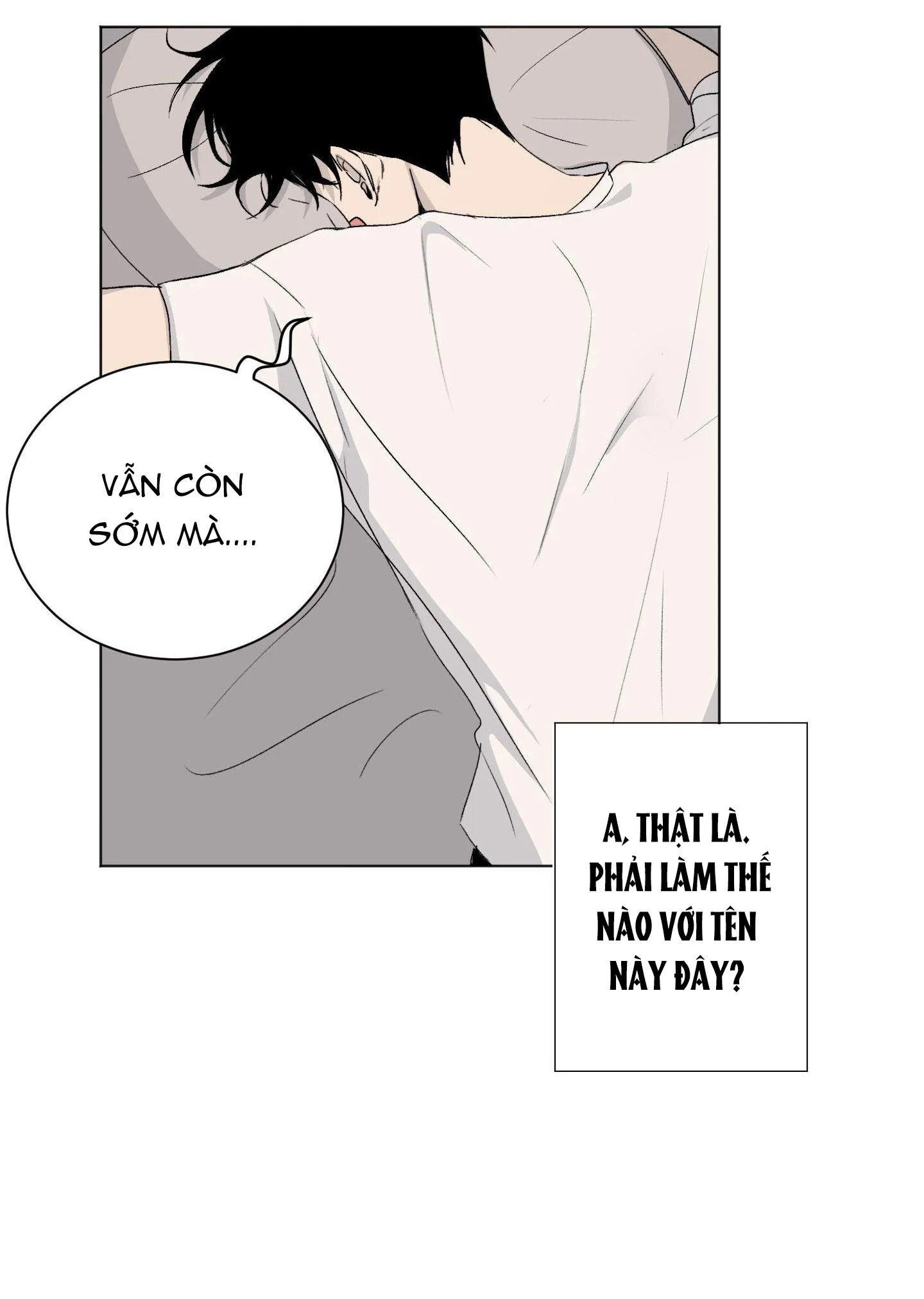 Đêm Mùa Hè Có Hoa Lupin Chapter 1 Trang 4