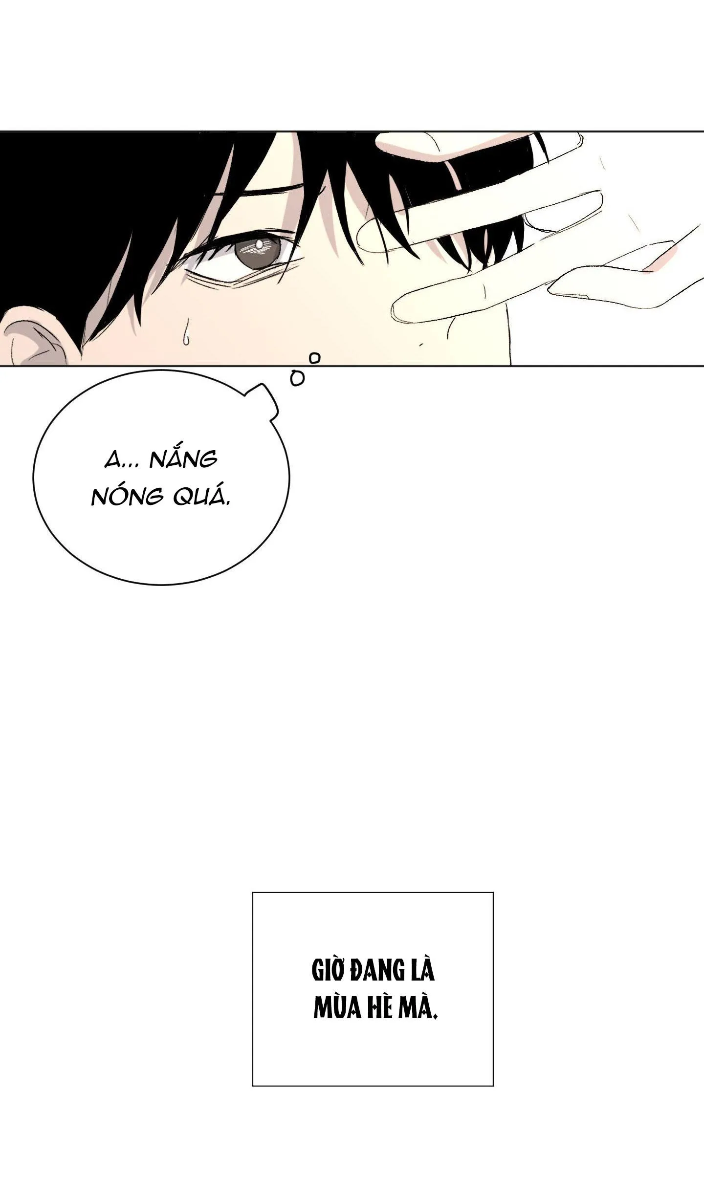 Đêm Mùa Hè Có Hoa Lupin Chapter 1 Trang 54