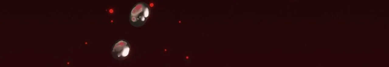 ĐÊM SĂN Ở LONDON Chapter 8 Trang 173