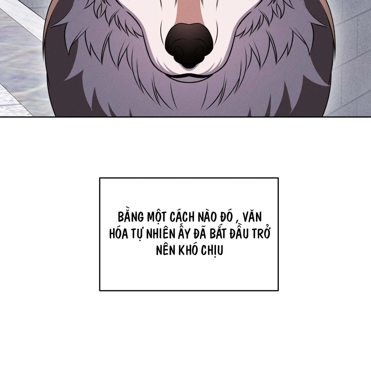 ĐÊM SĂN Ở LONDON Chapter 19 Trang 80