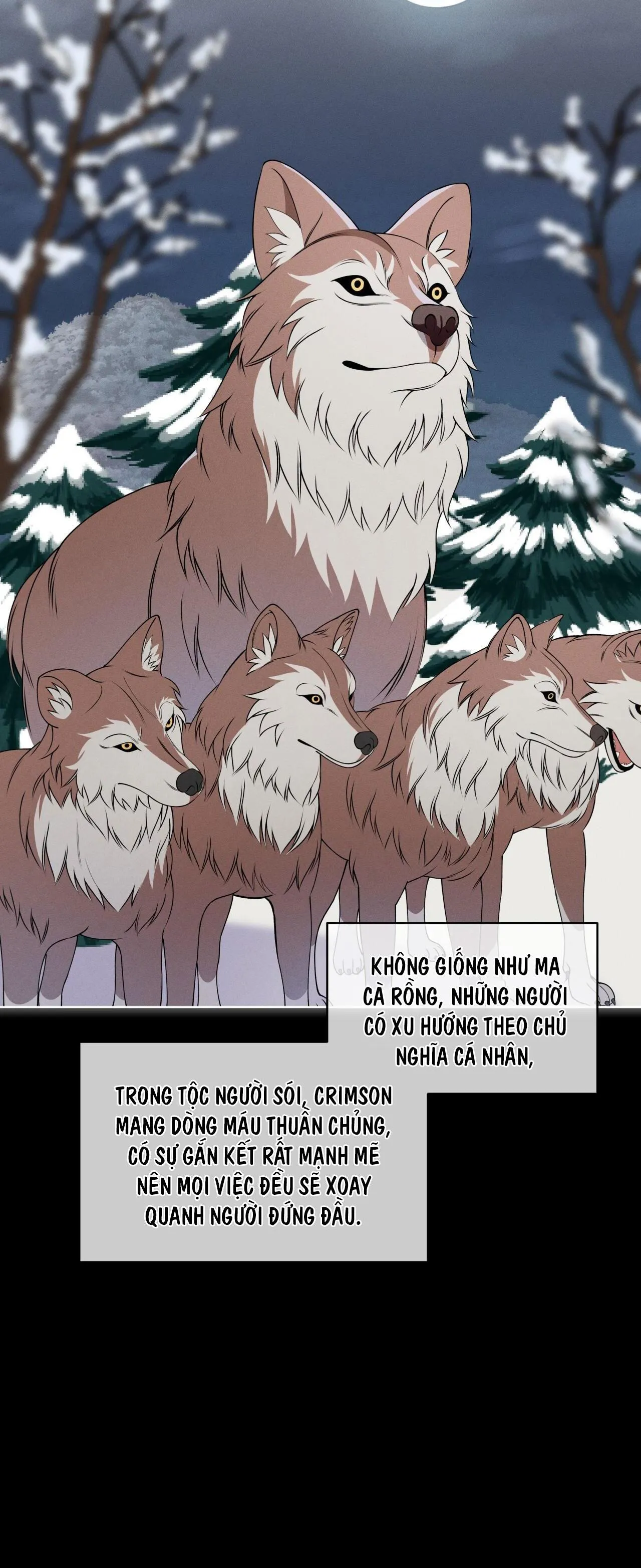 ĐÊM SĂN Ở LONDON Chapter 26 Trang 12