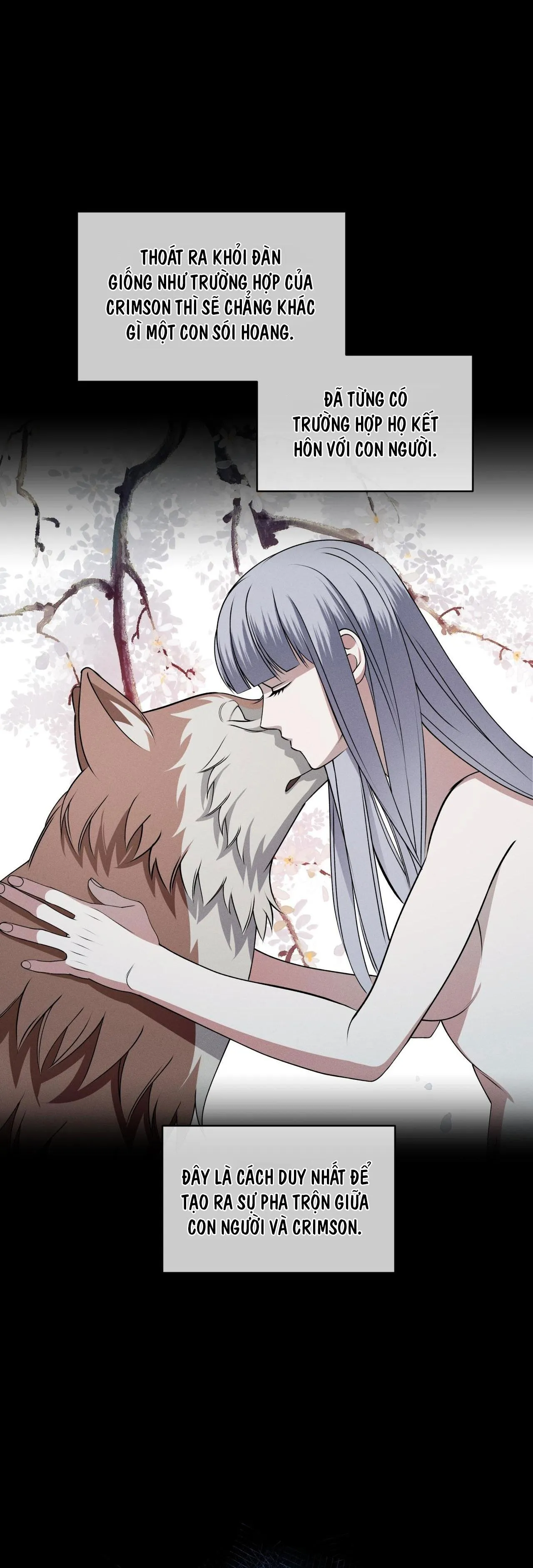 ĐÊM SĂN Ở LONDON Chapter 26 Trang 13