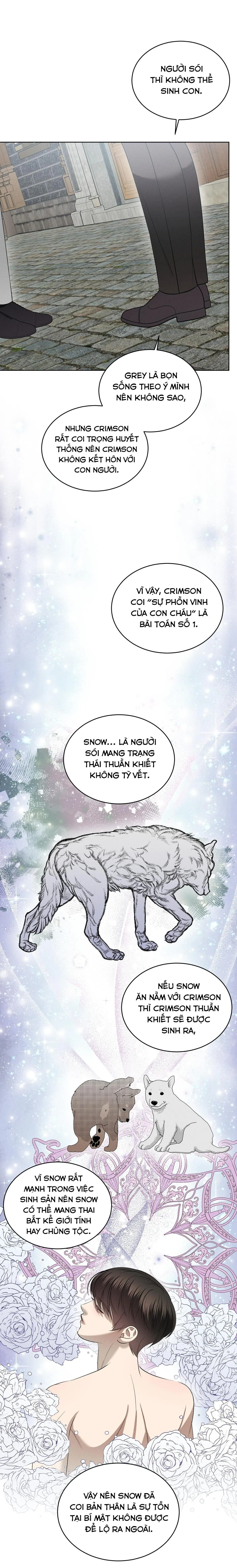 ĐÊM SĂN Ở LONDON Chapter 59 Trang 23