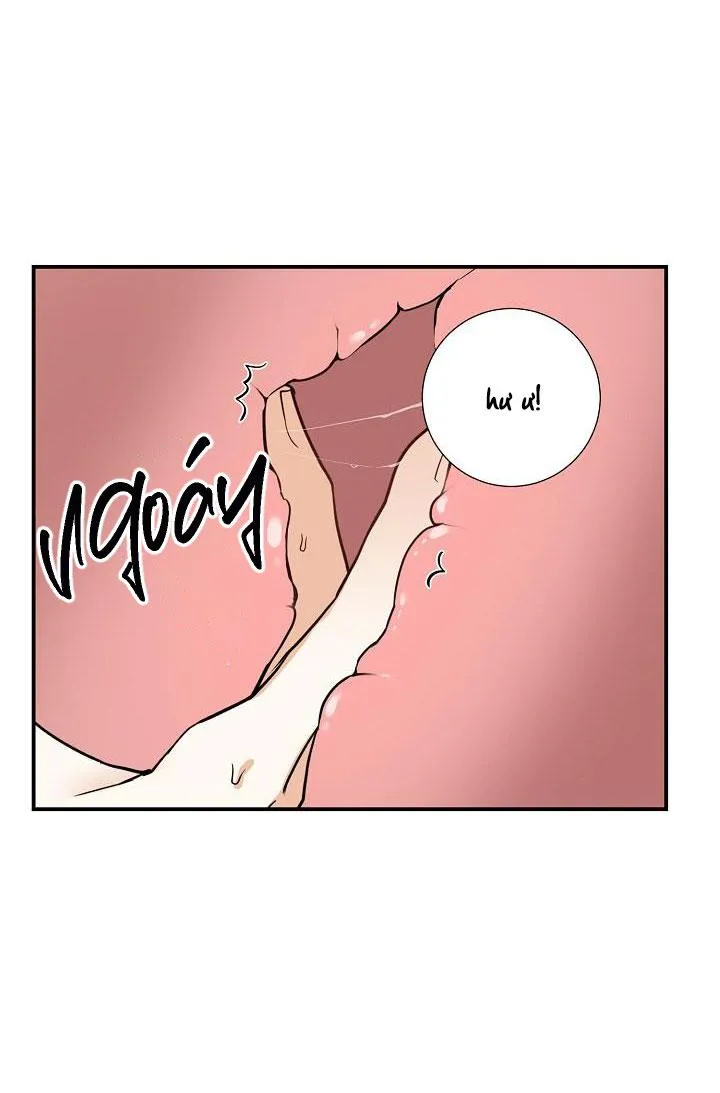 ĐÊM SĂN Chapter 8 Trang 8