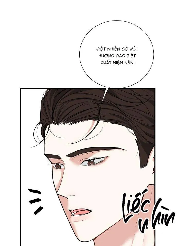 ĐÊM SĂN Chapter 8 Trang 31