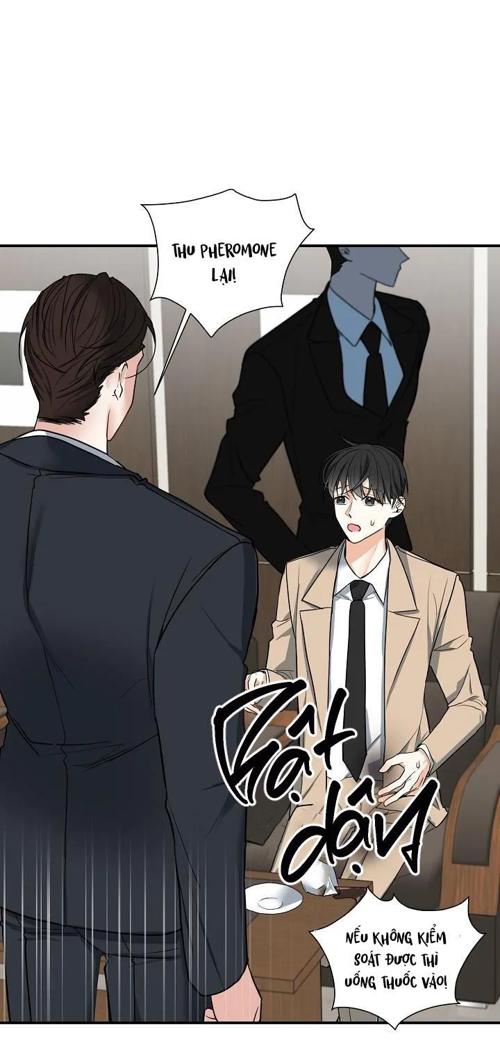 ĐÊM SĂN Chapter 8 Trang 47