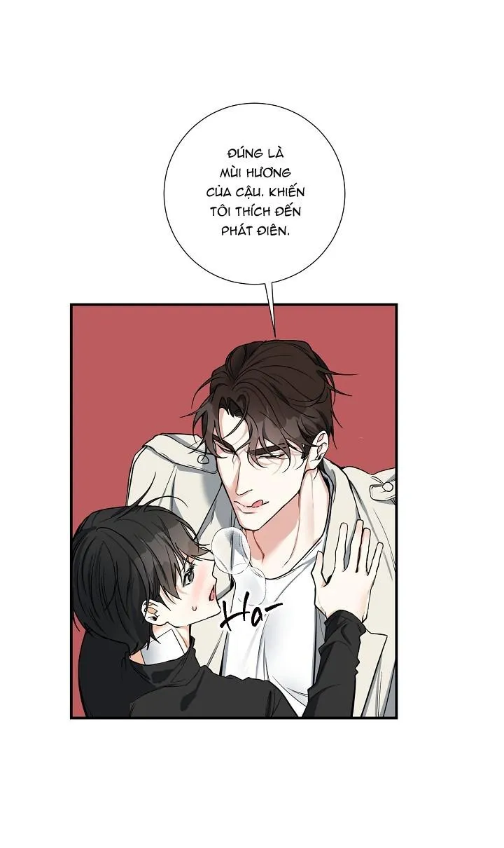 ĐÊM SĂN Chapter 14 Trang 15