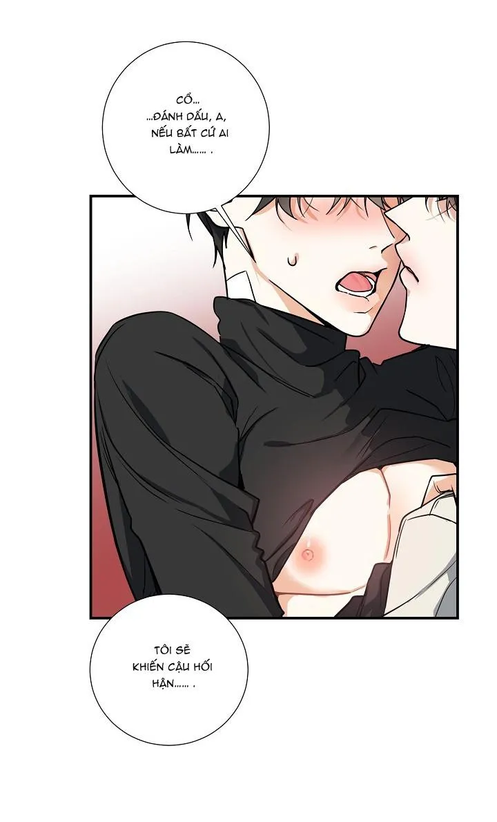 ĐÊM SĂN Chapter 14 Trang 19