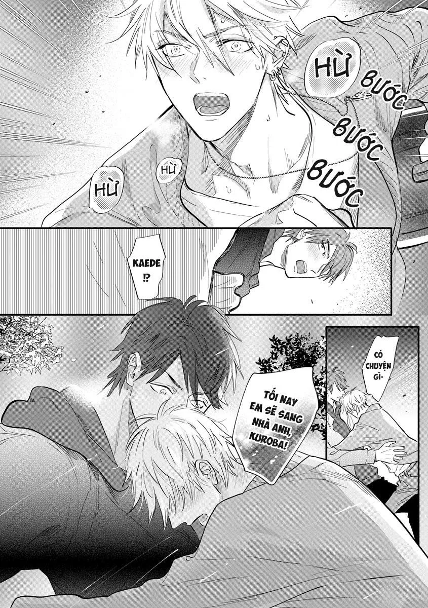 Đêm Thác Loạn Chapter 4 Trang 14