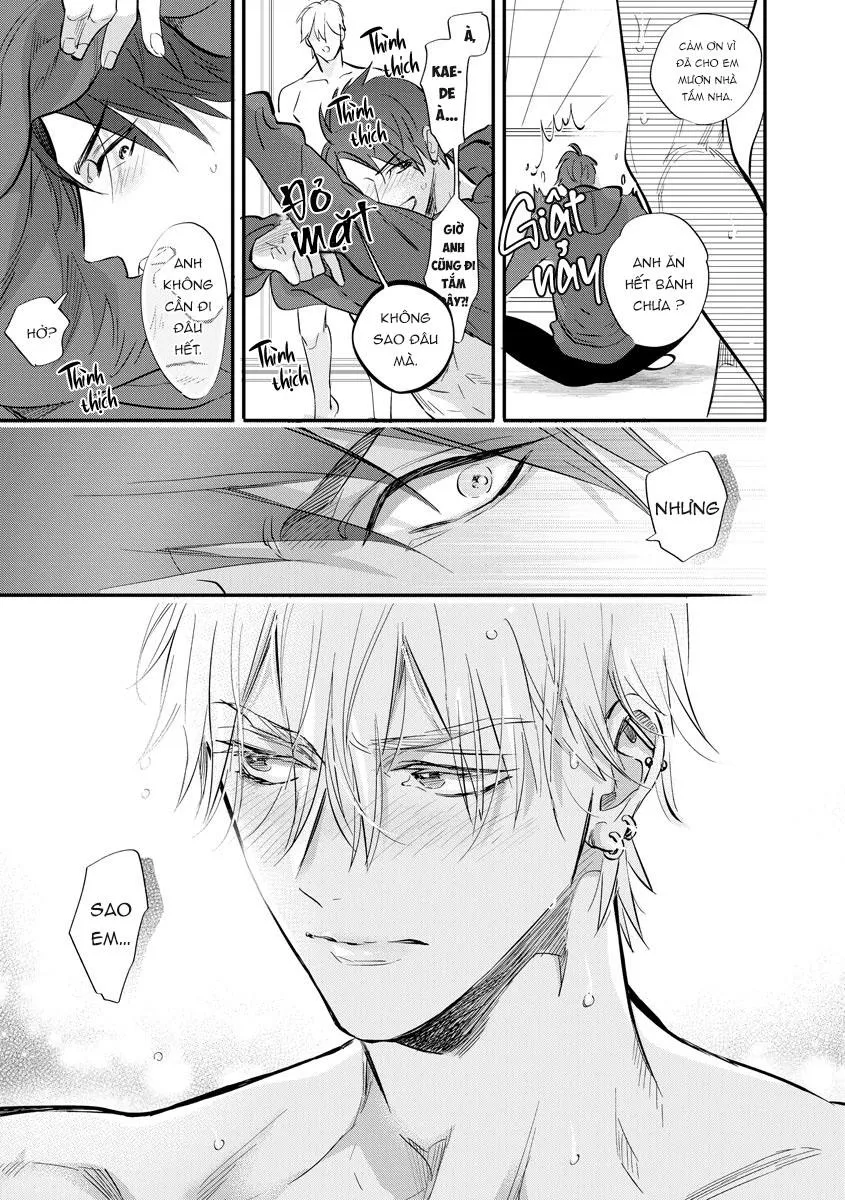 Đêm Thác Loạn Chapter 4 Trang 21