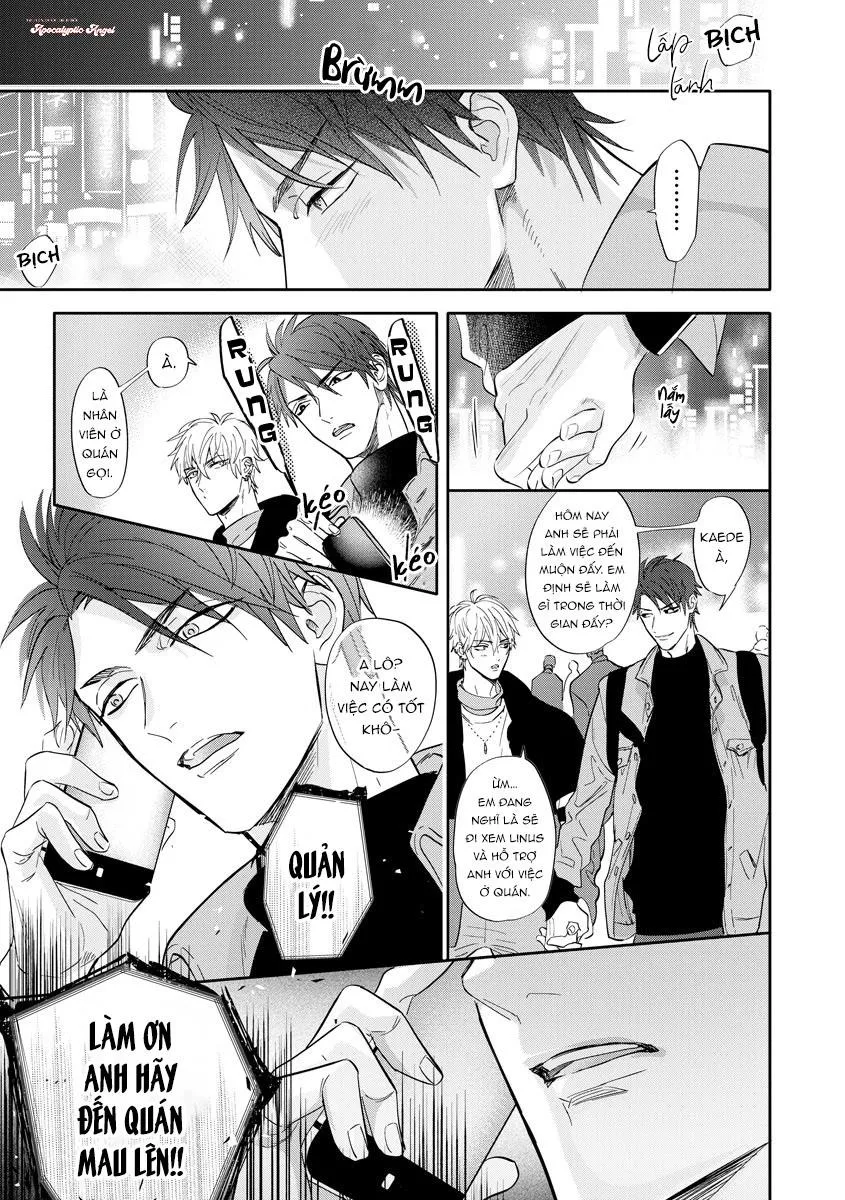 Đêm Thác Loạn Chapter 5 Trang 15