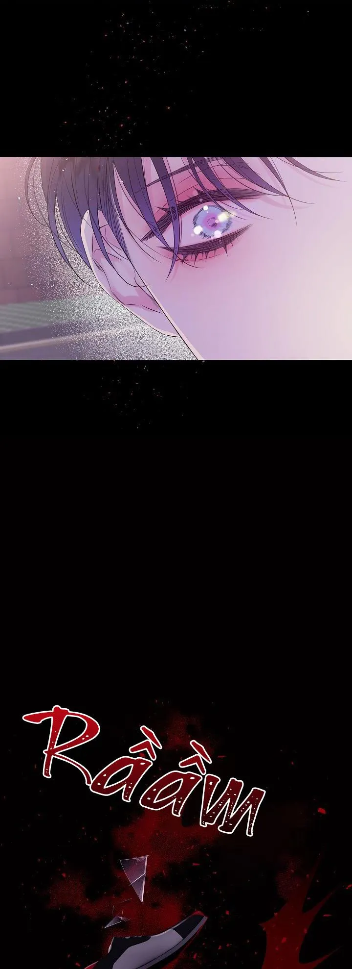 ĐÊM THỨ HAI Chapter 0 Trang 17