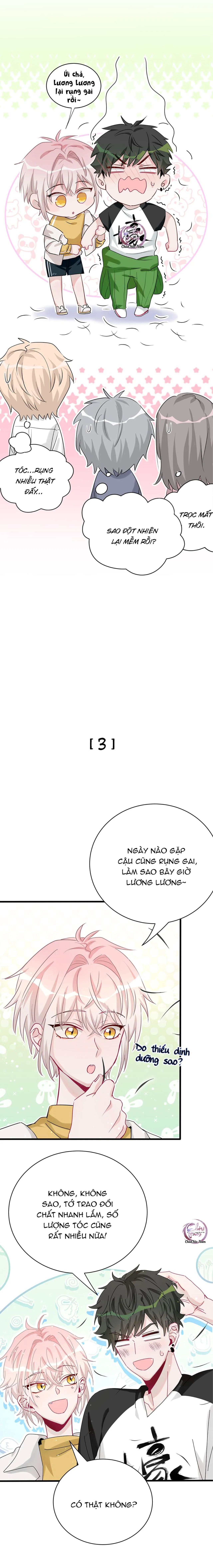 Đến Gần Cậu, Tớ Sẽ Rụng Gai (END) Chapter 1 Trang 8
