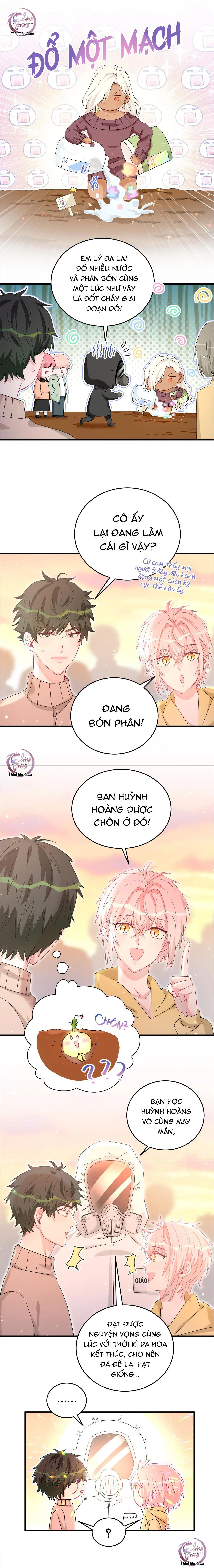 Đến Gần Cậu, Tớ Sẽ Rụng Gai (END) Chapter 19 Trang 5