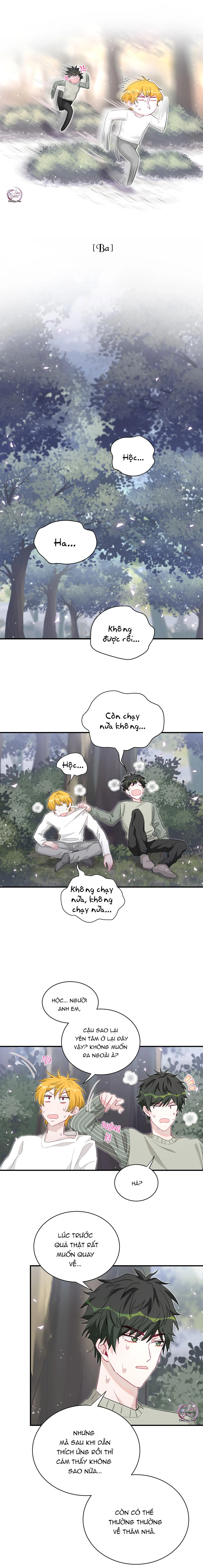 Đến Gần Cậu, Tớ Sẽ Rụng Gai (END) Chapter 31 Trang 4