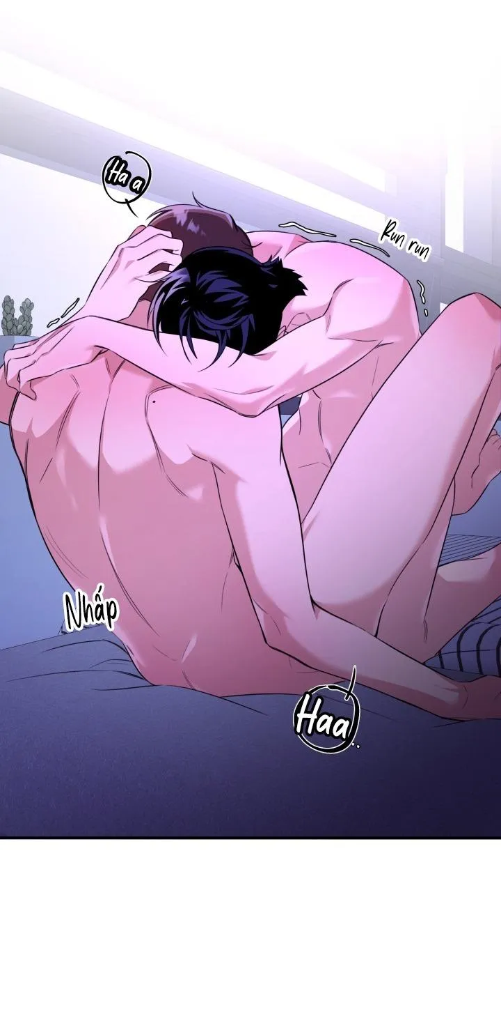 Đến gặp Idol nào! Chapter 12 Trang 69