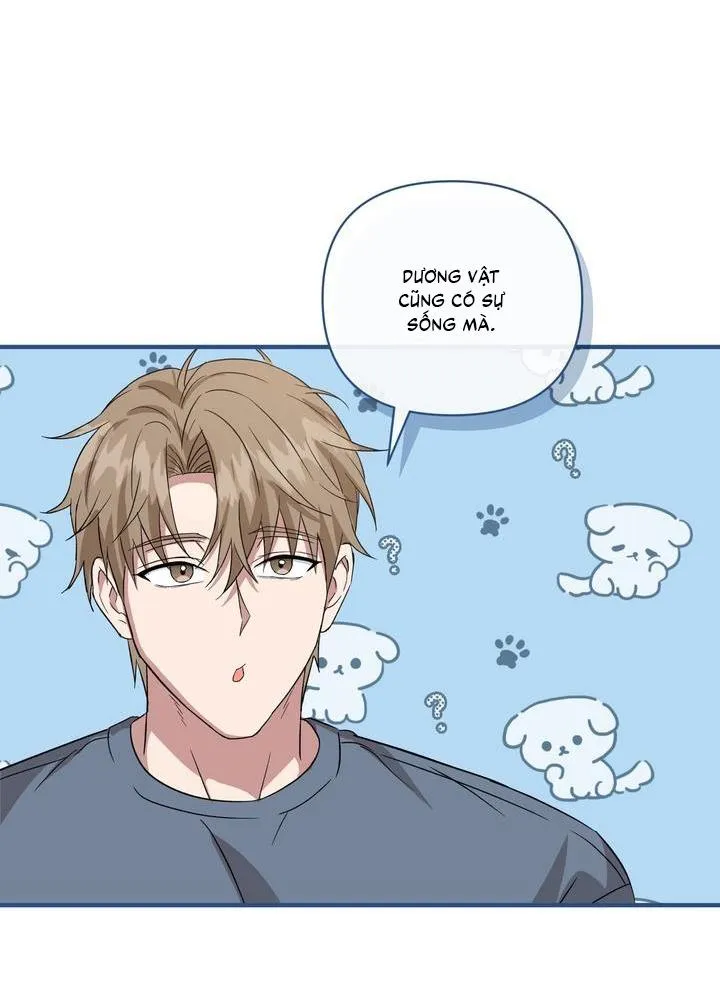 Dẻo Dai Và Mềm Mại Chapter 6 Trang 11