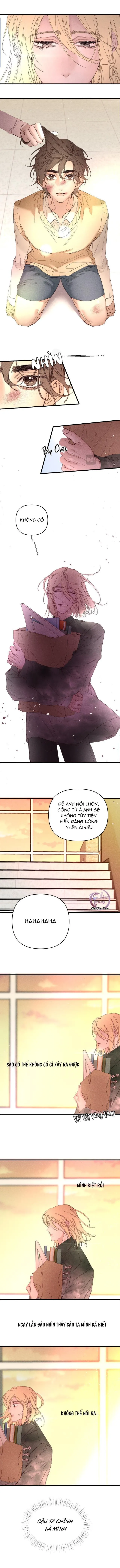 Đều Vì Em Chapter 2 Trang 4