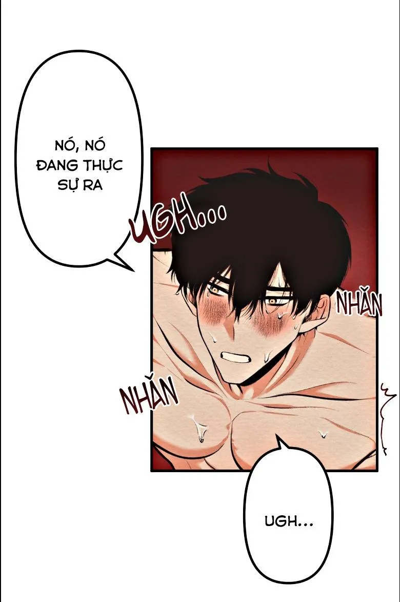 (END SS) DEVIL ON TOP Chapter 2 Trang 22