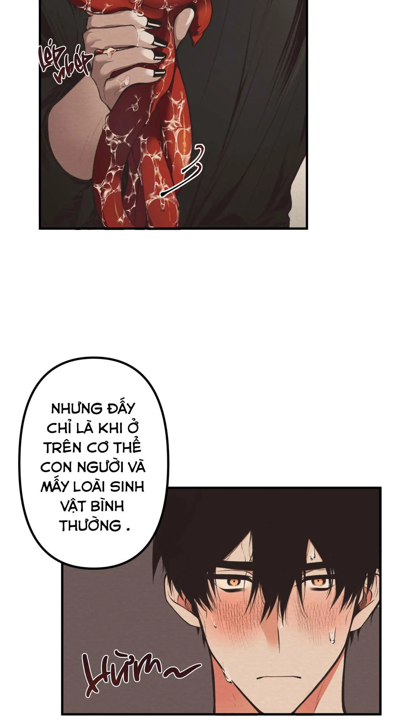 (END SS) DEVIL ON TOP Chapter 1 Trang 17