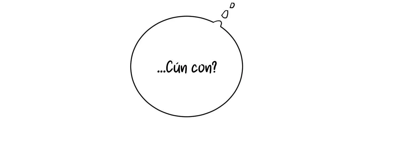 Điểm dừng chân cuối cùng Chapter 40 Trang 62