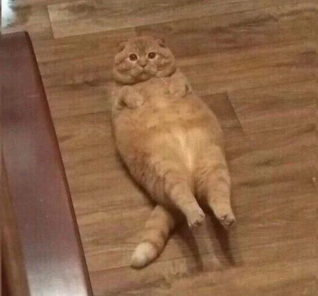 Điểm Yếu Của Daisuke Chapter 6 Trang 27