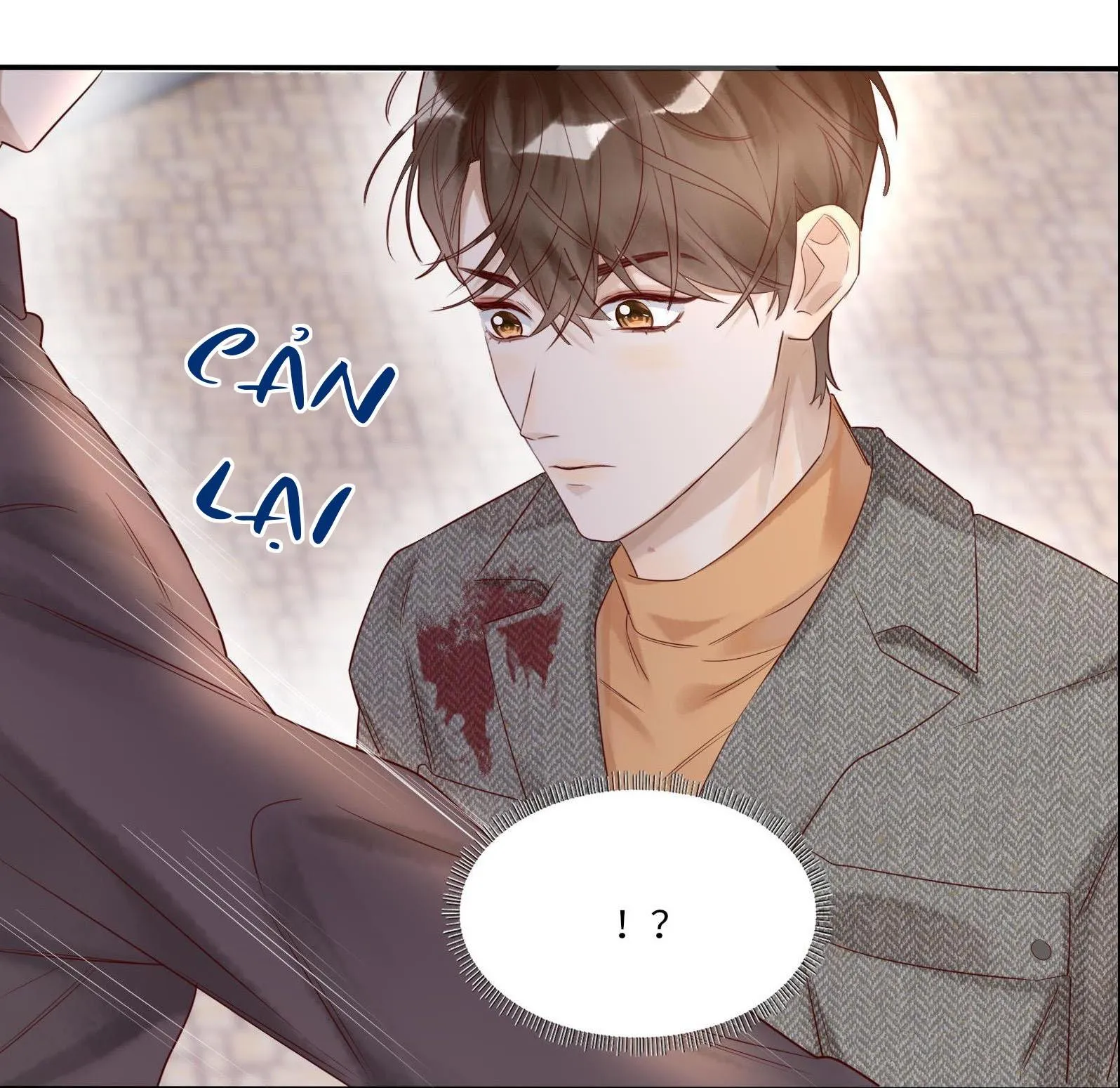 Diễn Giả Làm Thật Chapter 15 Trang 17