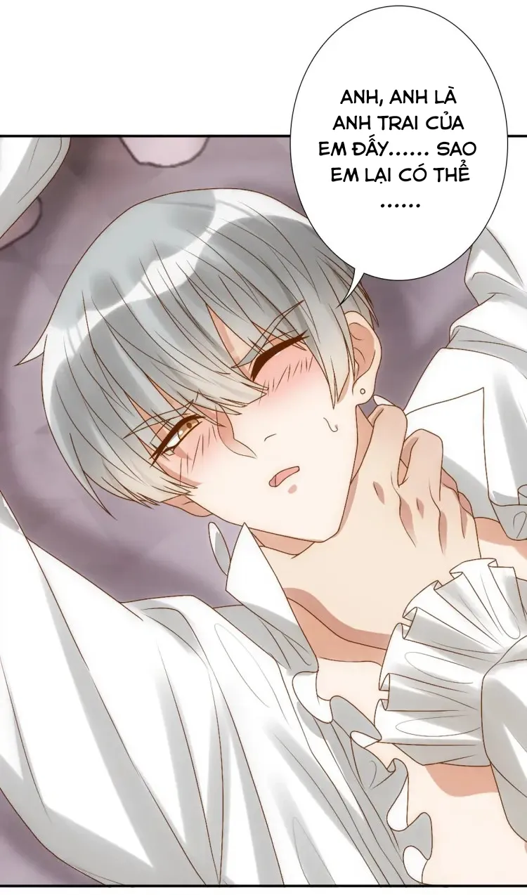 Điện Hạ Thân Ái Chapter 2 Trang 24