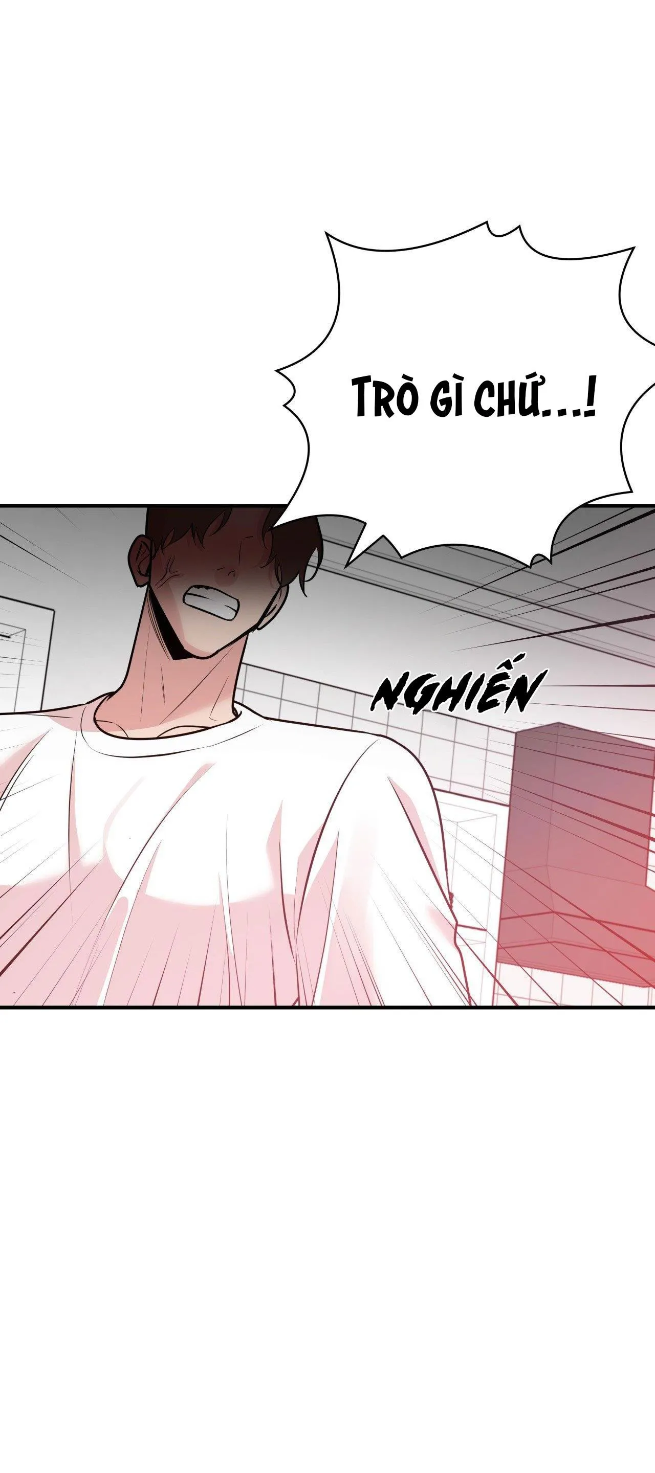 ĐIỀU 260 BỘ LUẬT HÌNH SỰ Chapter 2 Trang 13