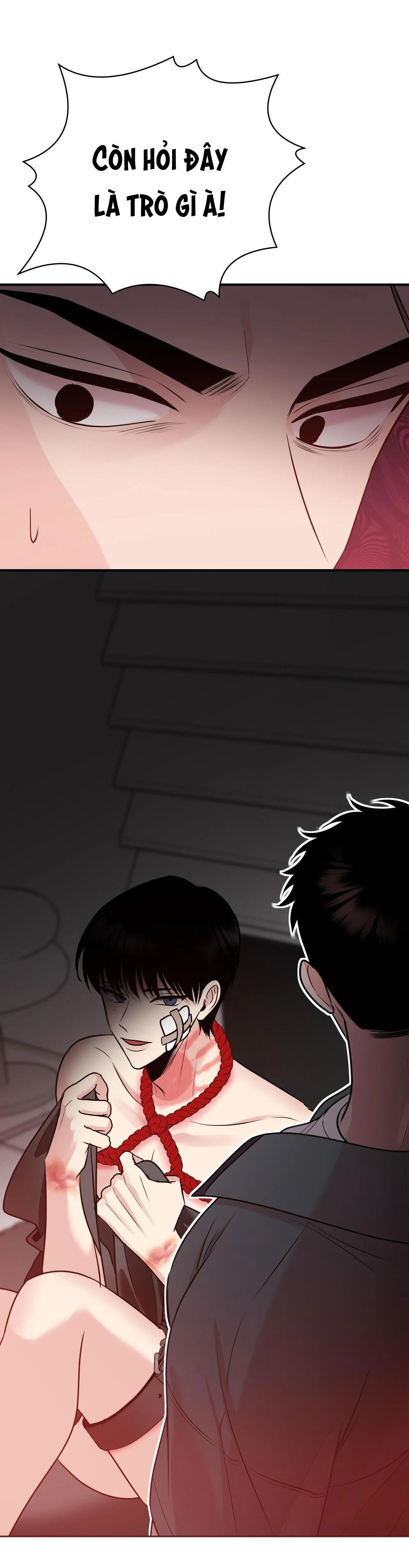 ĐIỀU 260 BỘ LUẬT HÌNH SỰ Chapter 2 Trang 17