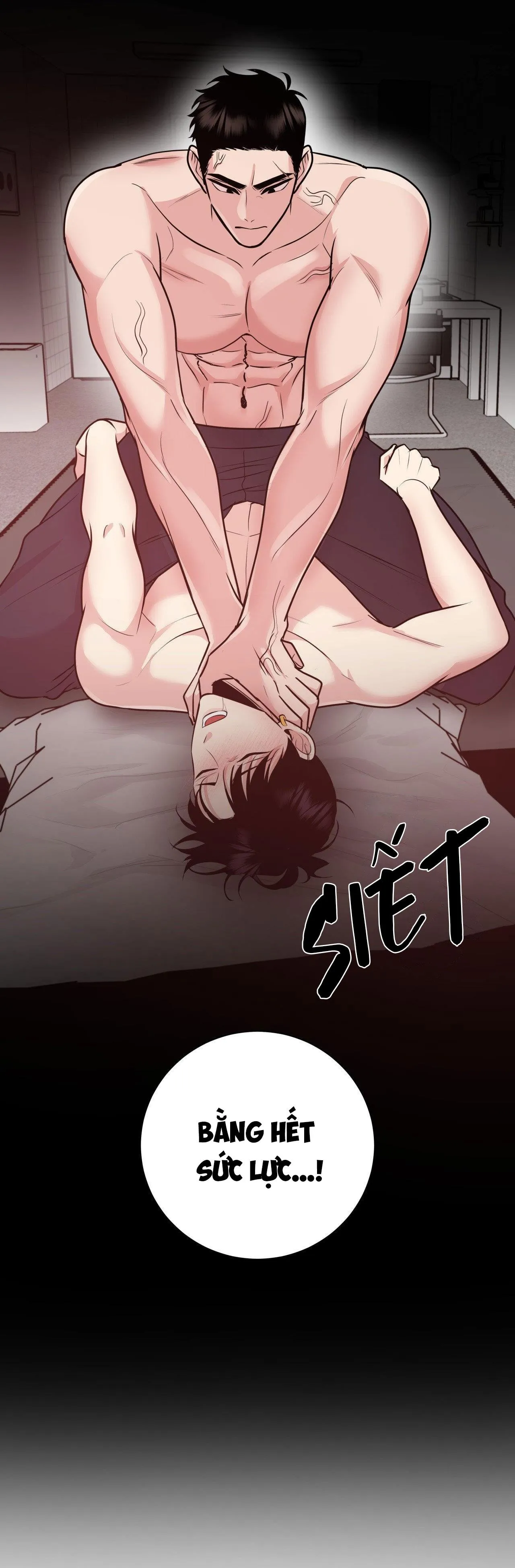 ĐIỀU 260 BỘ LUẬT HÌNH SỰ Chapter 2 Trang 41