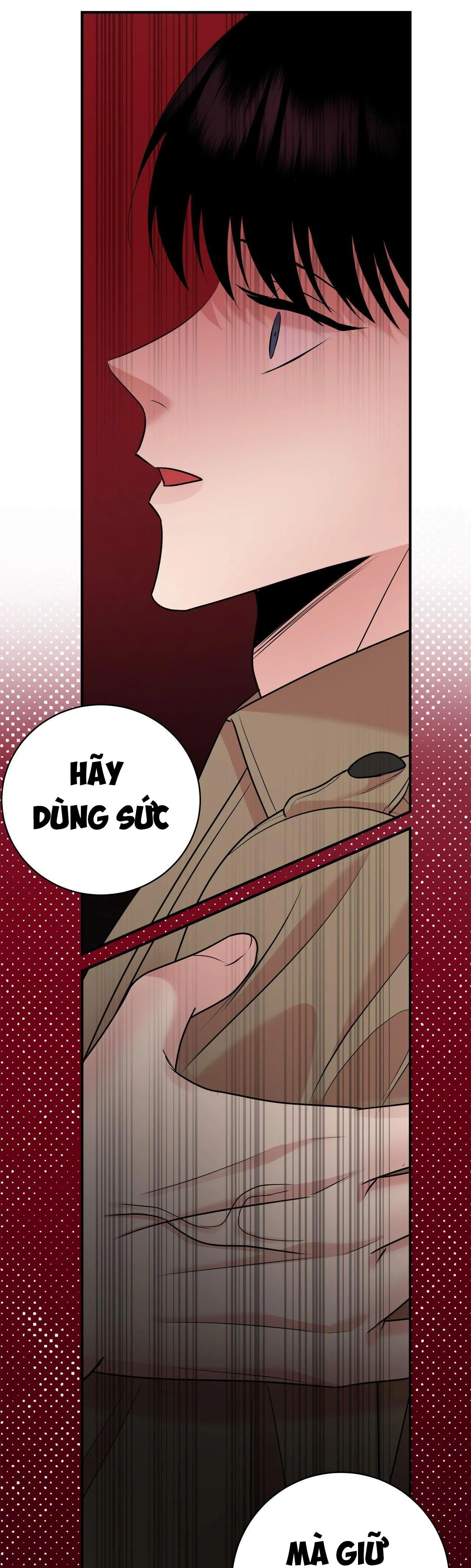 ĐIỀU 260 BỘ LUẬT HÌNH SỰ Chapter 2 Trang 44