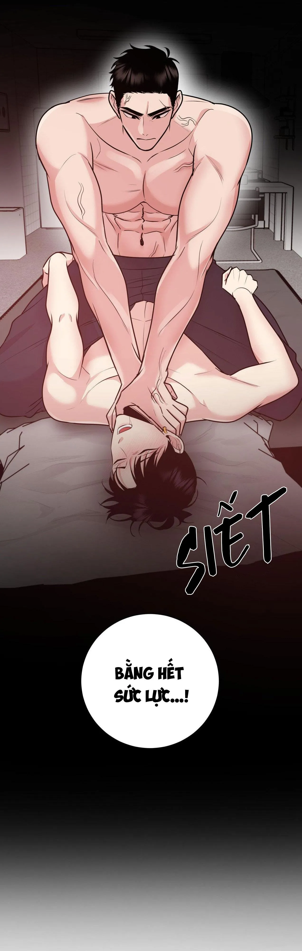 ĐIỀU 260 BỘ LUẬT HÌNH SỰ Chapter 2 Trang 47