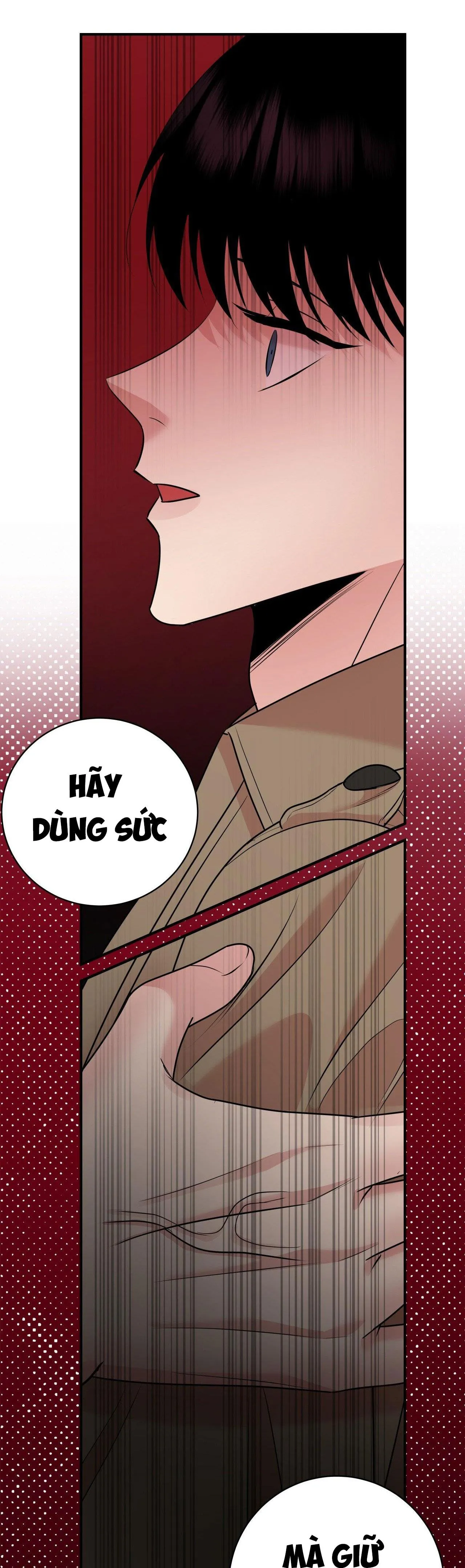 ĐIỀU 260 BỘ LUẬT HÌNH SỰ Chapter 2 Trang 50