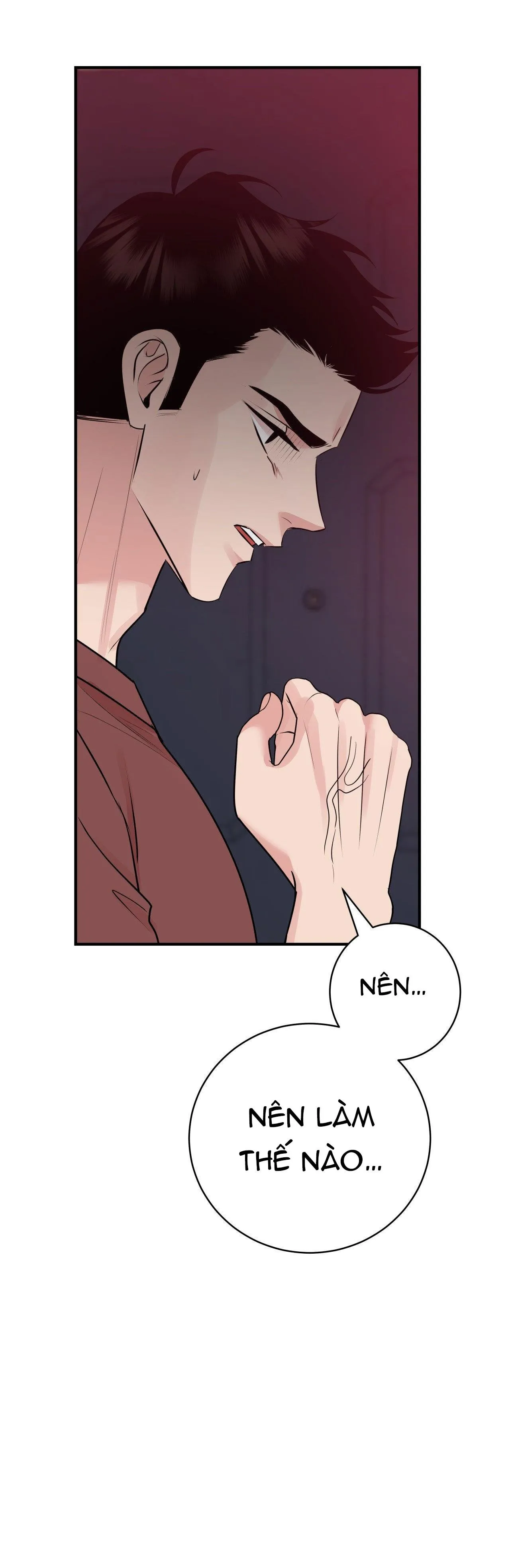 ĐIỀU 260 BỘ LUẬT HÌNH SỰ Chapter 2 Trang 55