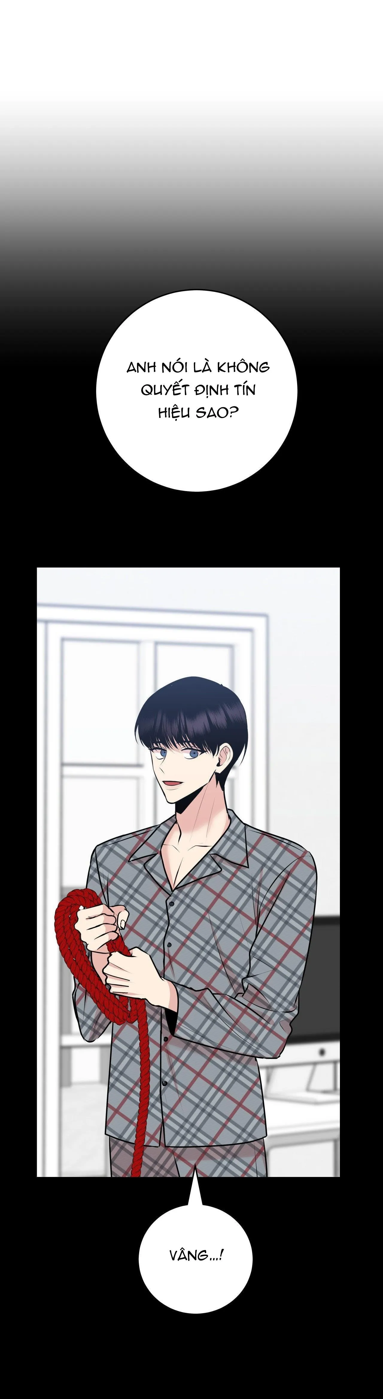 ĐIỀU 260 BỘ LUẬT HÌNH SỰ Chapter 3 Trang 20