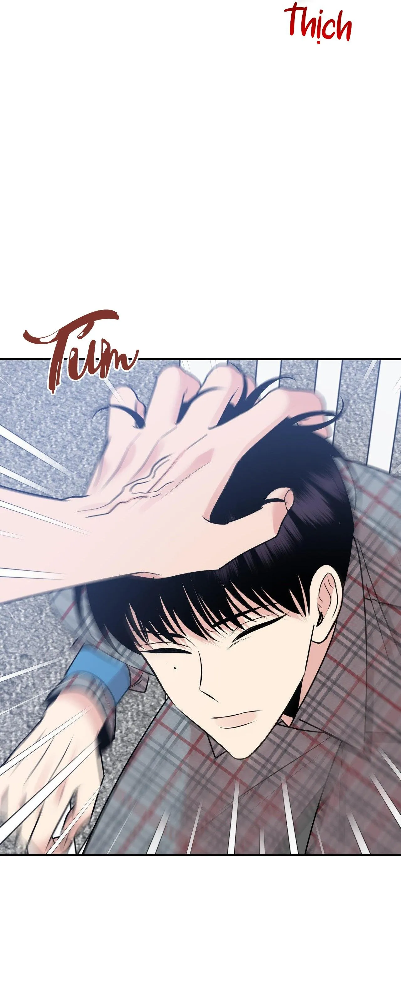 ĐIỀU 260 BỘ LUẬT HÌNH SỰ Chapter 3 Trang 28