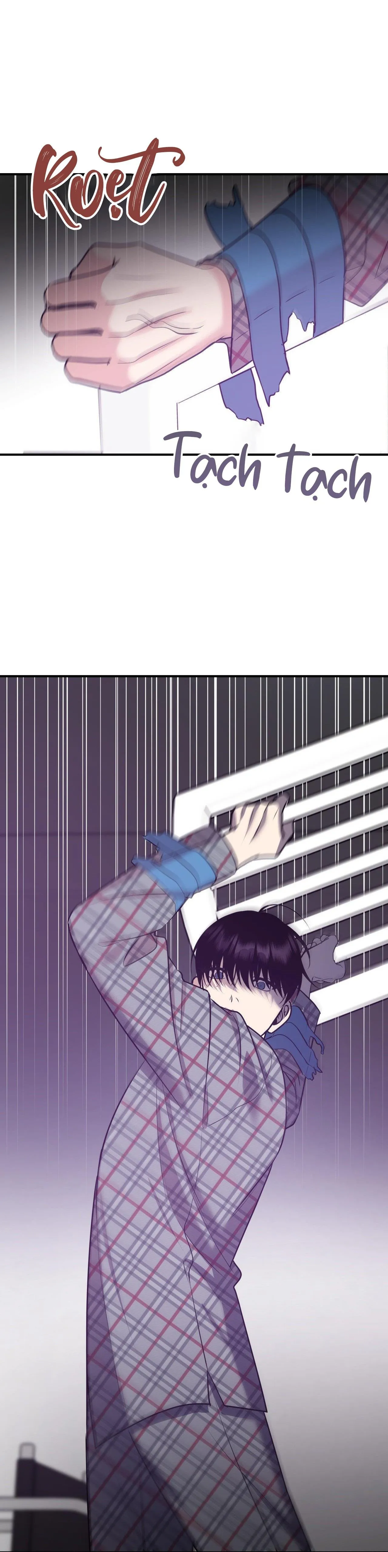 ĐIỀU 260 BỘ LUẬT HÌNH SỰ Chapter 3 Trang 34