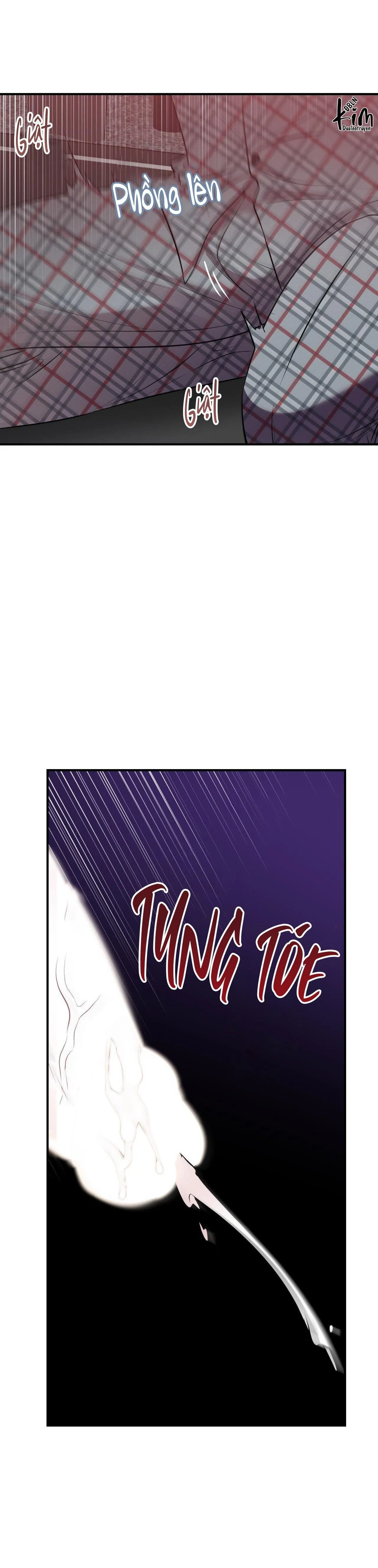 ĐIỀU 260 BỘ LUẬT HÌNH SỰ Chapter 4 Trang 14