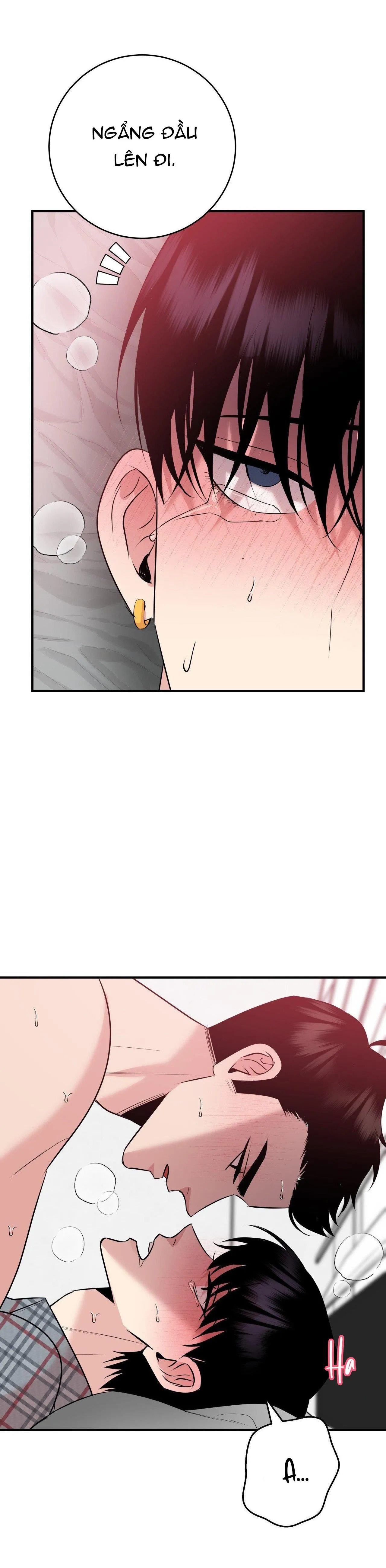 ĐIỀU 260 BỘ LUẬT HÌNH SỰ Chapter 4 Trang 37