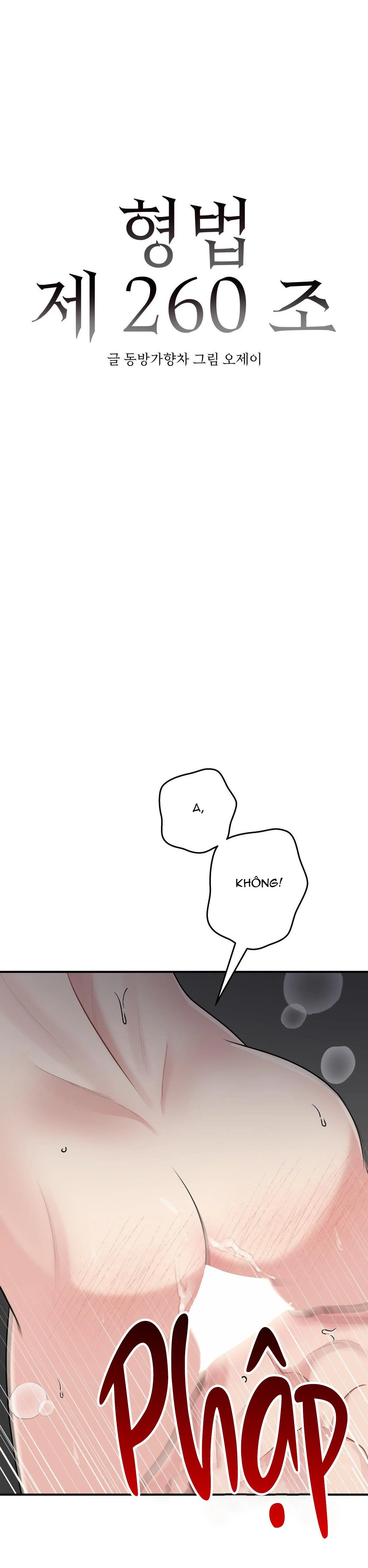 ĐIỀU 260 BỘ LUẬT HÌNH SỰ Chapter 5 Trang 4