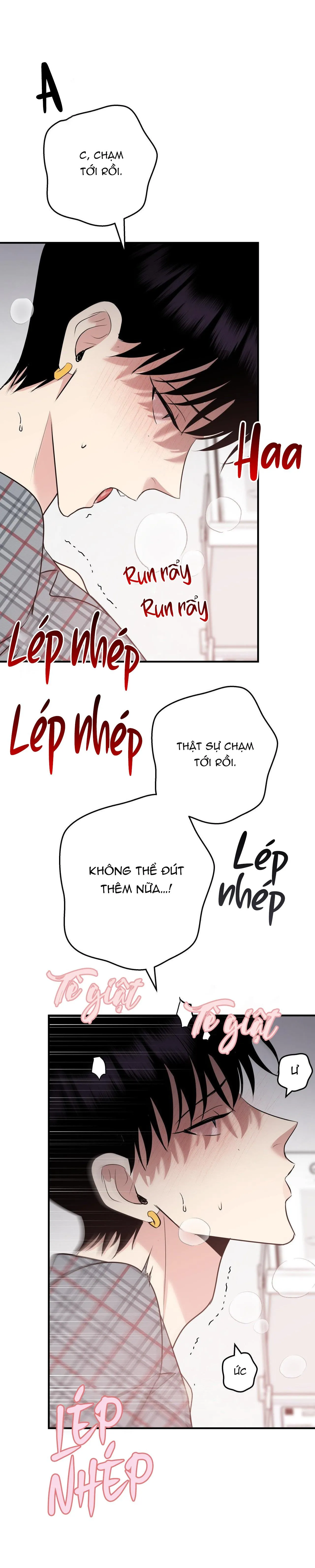 ĐIỀU 260 BỘ LUẬT HÌNH SỰ Chapter 5 Trang 17