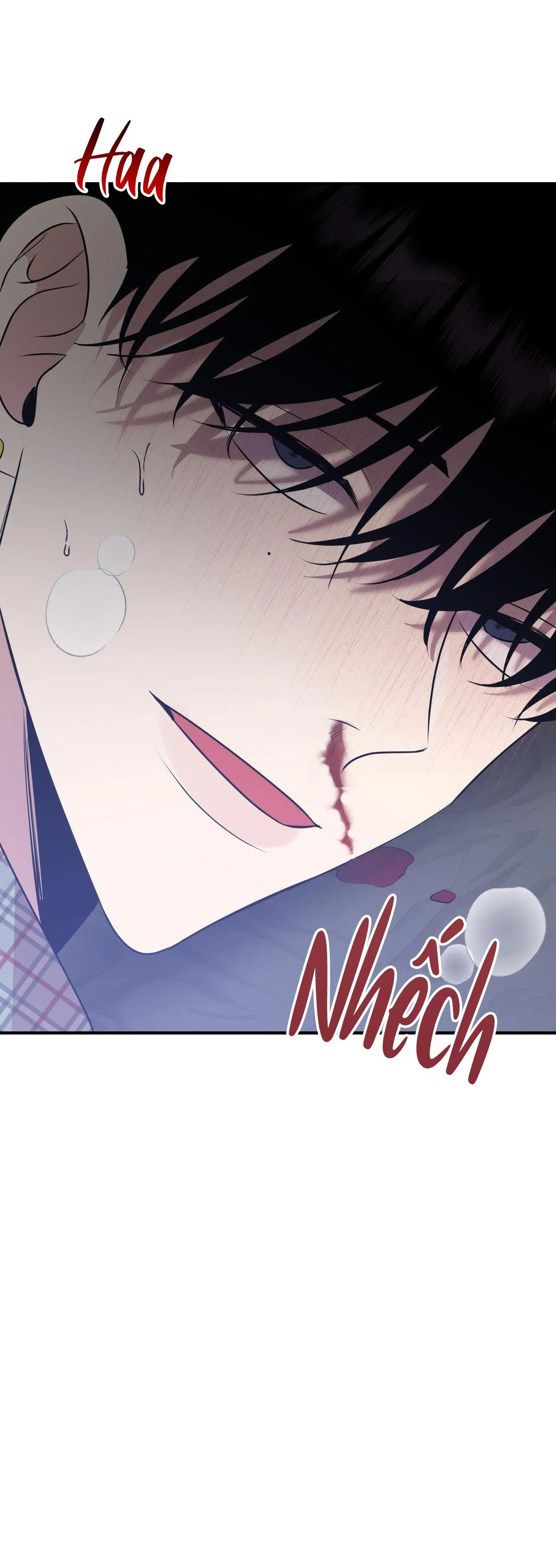 ĐIỀU 260 BỘ LUẬT HÌNH SỰ Chapter 5 Trang 26