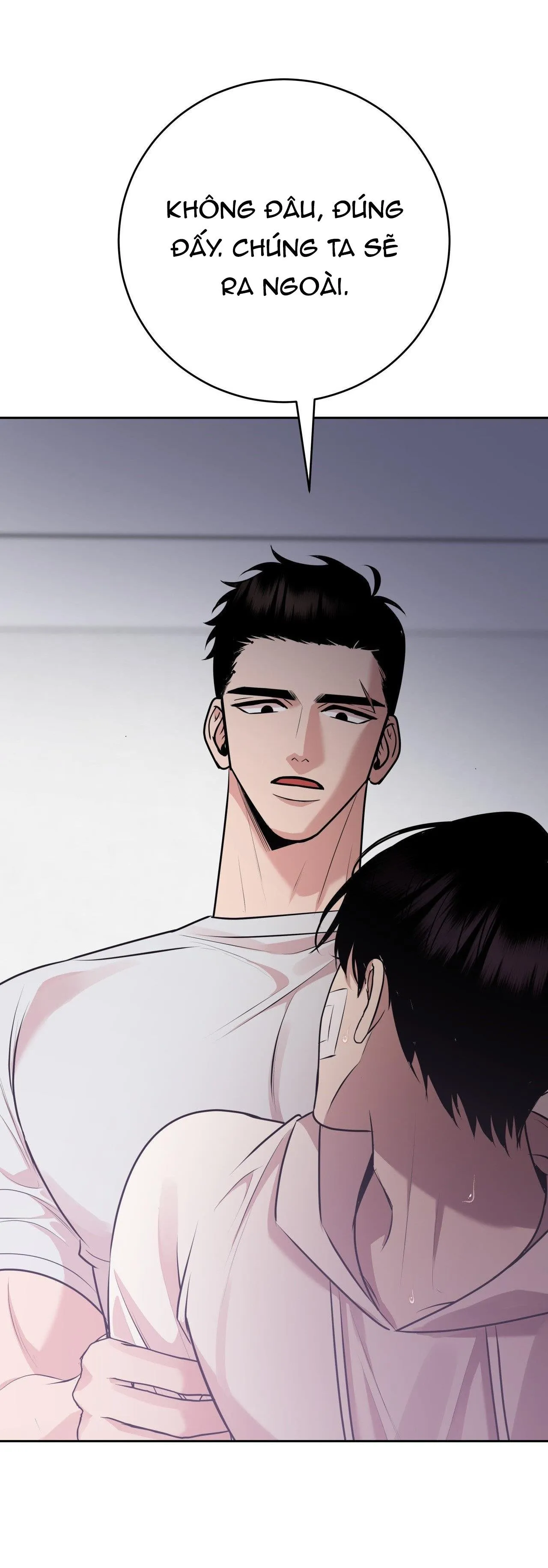 ĐIỀU 260 BỘ LUẬT HÌNH SỰ Chapter 8 Trang 16