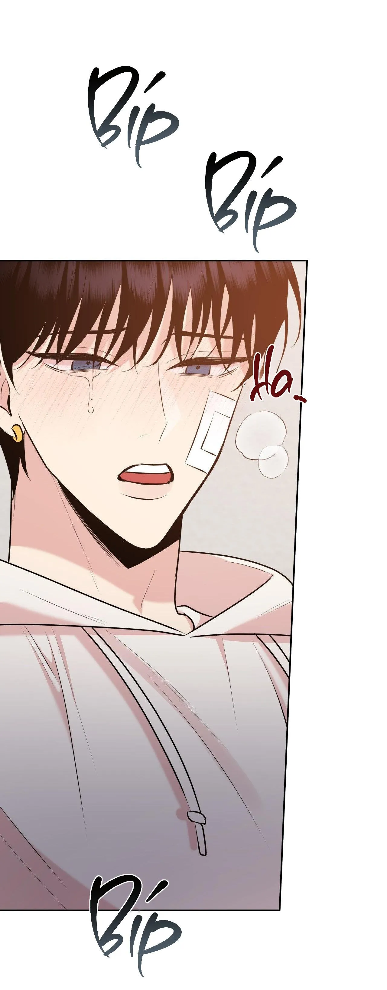 ĐIỀU 260 BỘ LUẬT HÌNH SỰ Chapter 8 Trang 42