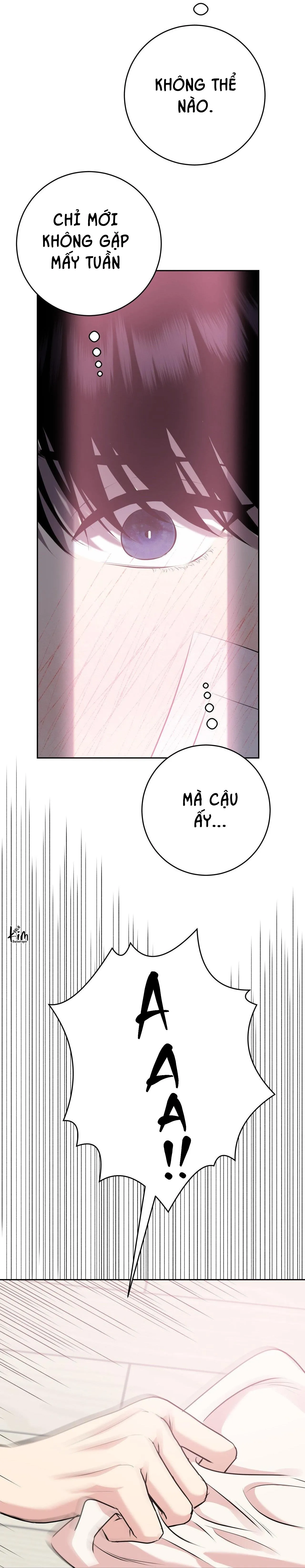 ĐIỀU 260 BỘ LUẬT HÌNH SỰ Chapter 8 Trang 52