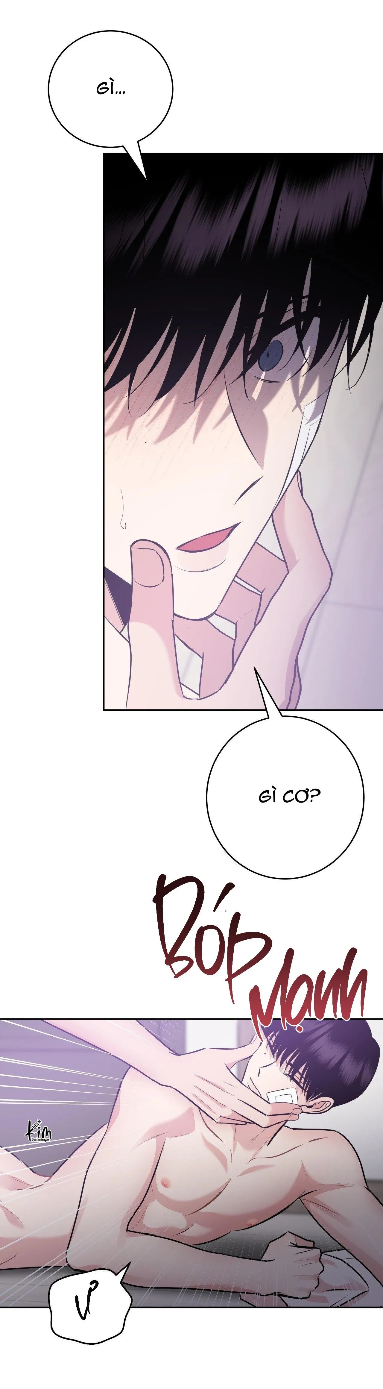 ĐIỀU 260 BỘ LUẬT HÌNH SỰ Chapter 8 Trang 57